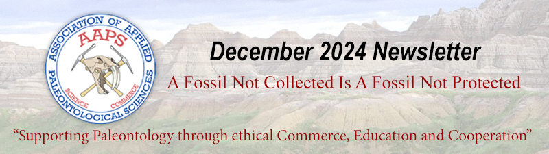 December 2024 Newsletter of the Association of Applied Paleontological Sciences