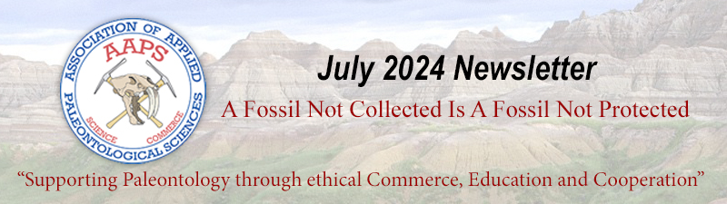 July 2024 Newsletter of the Association of Applied Paleontological Sciences