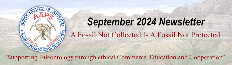 September 2024 Newsletter of the Association of Applied Paleontological Sciences