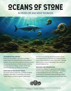 Oceans of stone poster